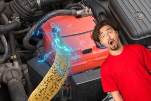 Cette batterie crée la sensation dans l'automobile puisqu'elle ne contient pas de Lithium mais un élément commun qu'on trouve dans les bananes